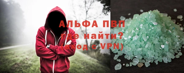 индика Абаза