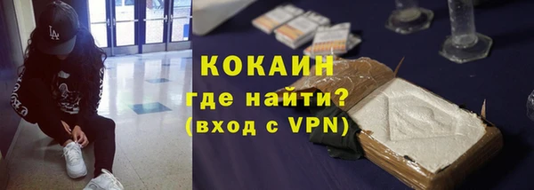 ПСИЛОЦИБИНОВЫЕ ГРИБЫ Фёдоровский