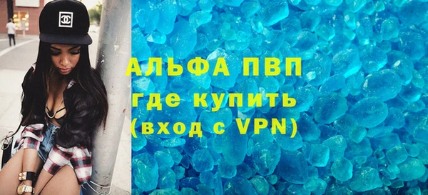 индика Абаза