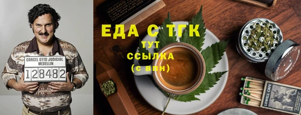 индика Абаза
