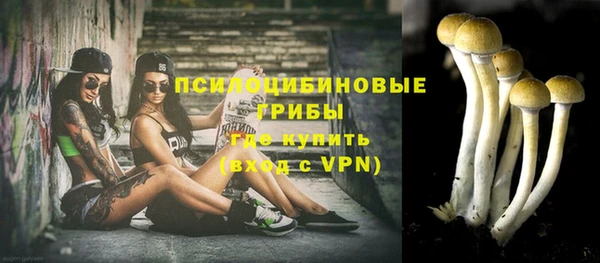 индика Абаза