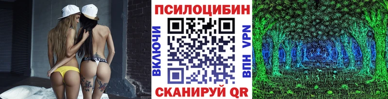 MEGA ТОР  хочу   Димитровград  Галлюциногенные грибы Psilocybe 