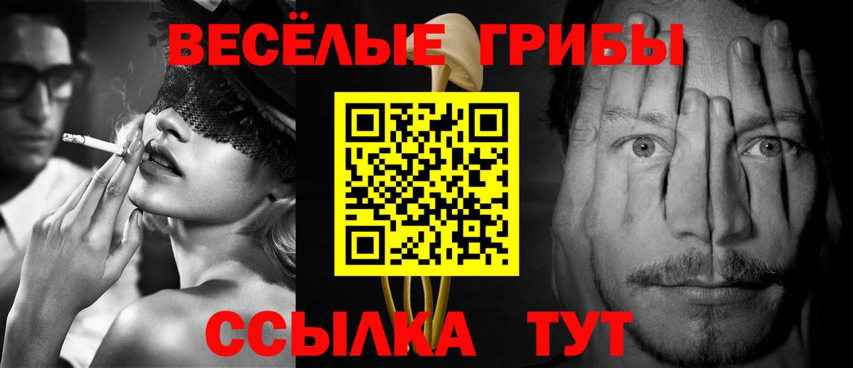 Димитровград  Псилоцибиновые грибы прущие грибы  Галлюциногенные грибы прущие грибы  Вход с VPN 